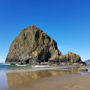 Meet your Posher, Becki